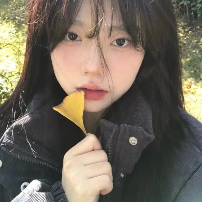 西瓜队封面