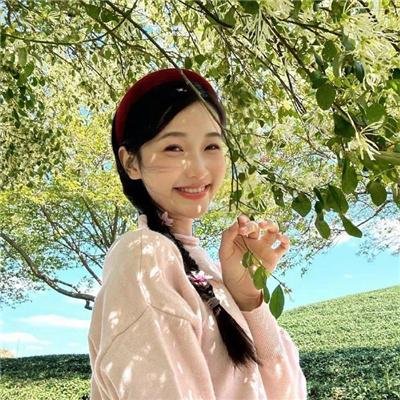 儿子的选择封面